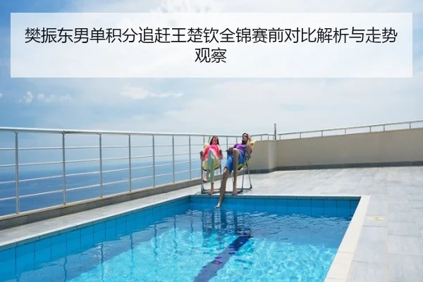 樊振东男单积分追赶王楚钦全锦赛前对比解析与走势观察
